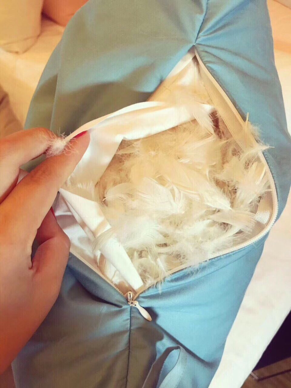 Gối lông vũ thật