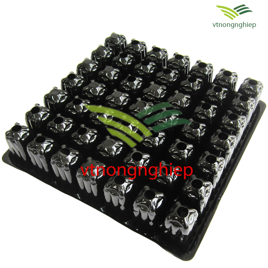 5 Khay nhựa ươm cây 49 lỗ ươm