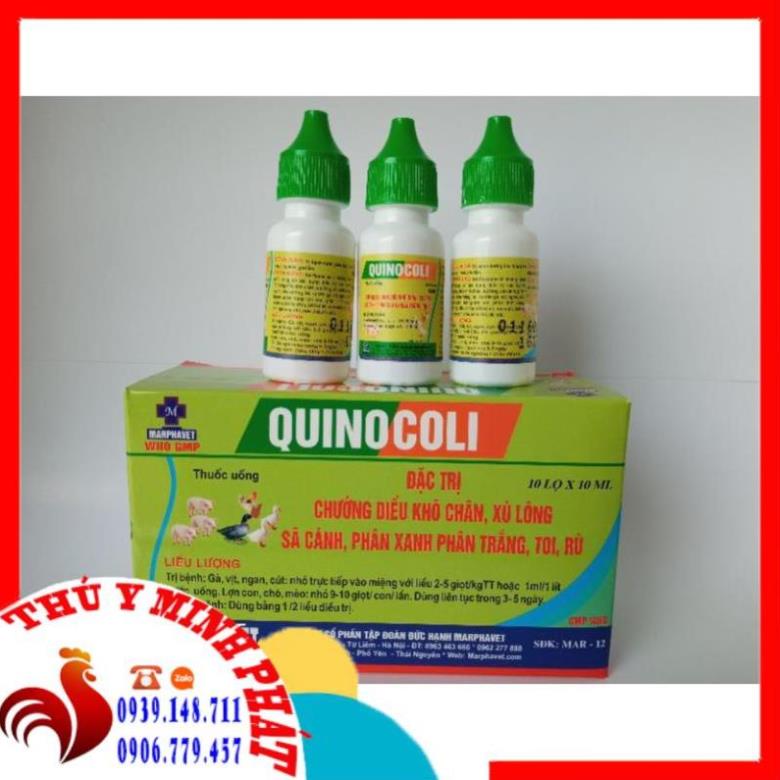 01 LỌ QUINOCOLI LỌ 10ML