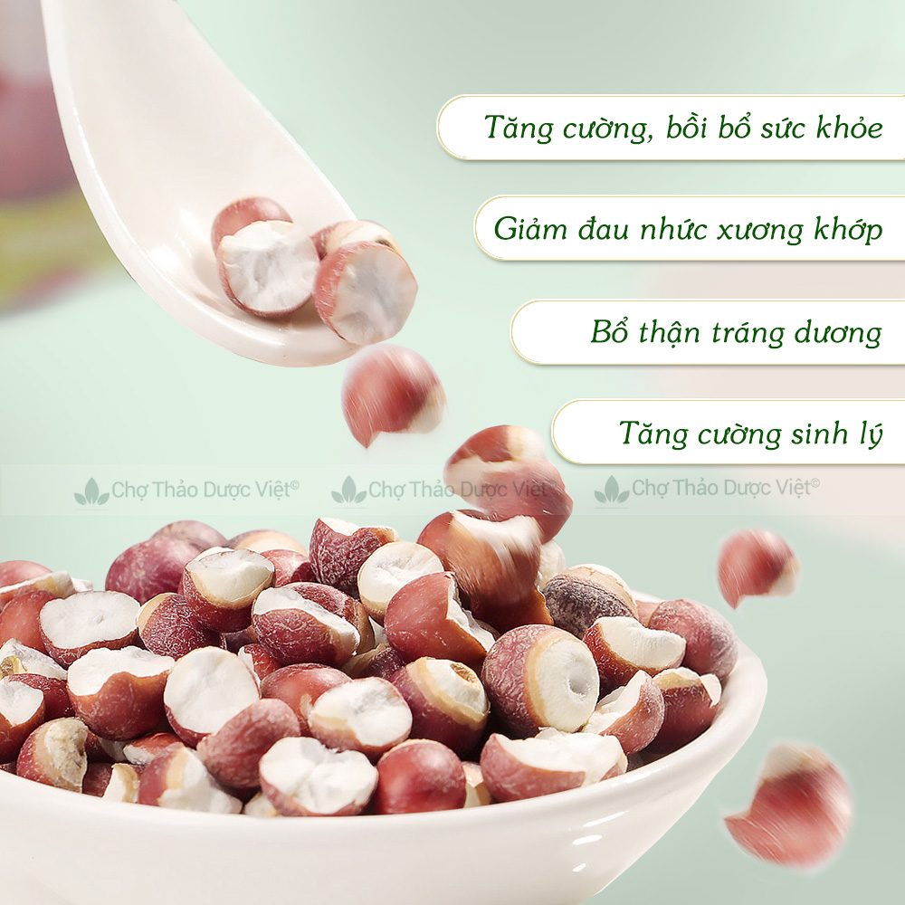 Khiếm thực khô 100g, hạt khiếm thật, hỗ trợ xương khớp, bổ thận tráng dương, tăng cường sinh lý