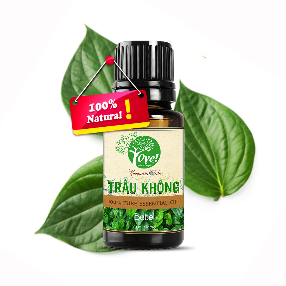 Tinh Dầu Trầu Không 50ml Nguyên Chất