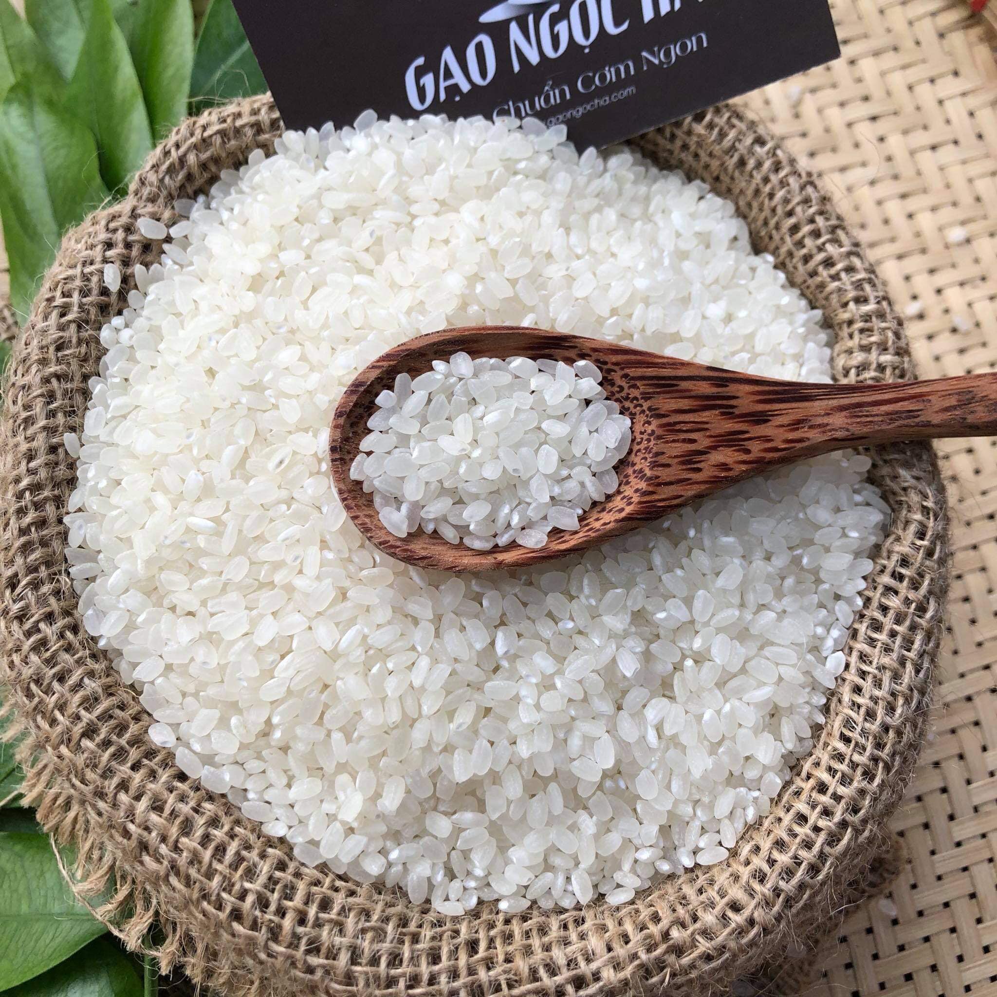 Gạo séng cù hạt tròn đặc sản Điện biên 10kg