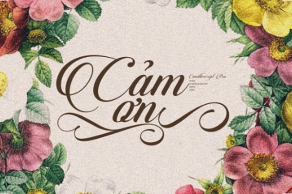 Combo 100 ống thủy tinh dài 20cm phi 6 (6mm)