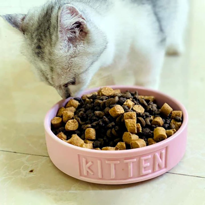 [HOÀN TIỀN 10%]Thức ăn mèo Mister Donut T1 Kitten túi 1kg - CutePets