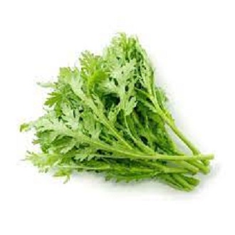 Hạt giống cải cúc tẻ ( tần ô ) - gói 10gram - VTNT1