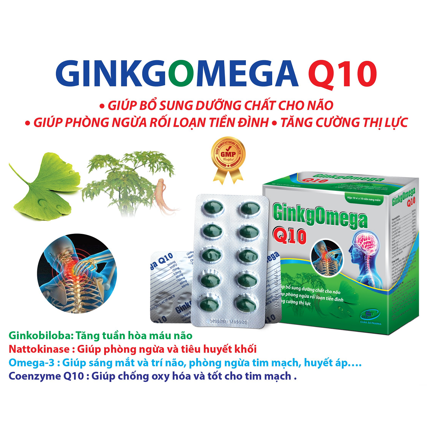 Hoạt Huyết Dưỡng Não Ginkgomega Q10 - Giúp Bổ Sung Dưỡng Chất Cho Não, Giảm Đau Vai Gáy, Tê Bì Chân Tay - Tăng Cường Thị Lực Cho Mắt - Hộp 100 Viên