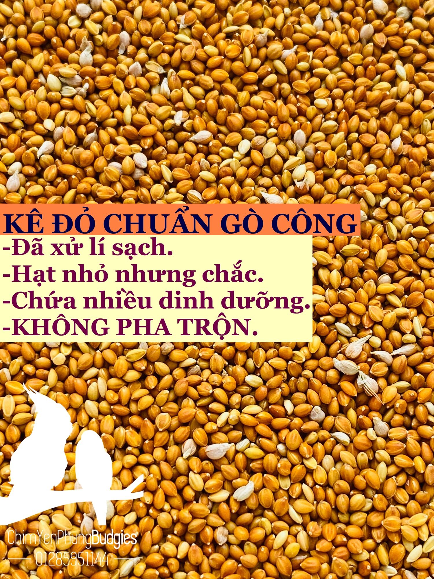2kg kê đỏ nhỏ Gò Công - thức ăn: Cu Gáy, Vẹt, Gà Kiểng...