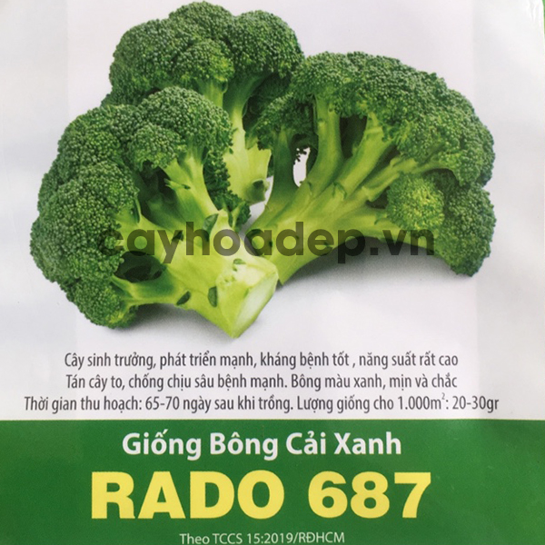 [Ảnh thật] [FreeShip] HẠT GIỐNG BÔNG CẢI XANH - SÚP LƠ - CÂY KHỎE SẠCH BỆNH