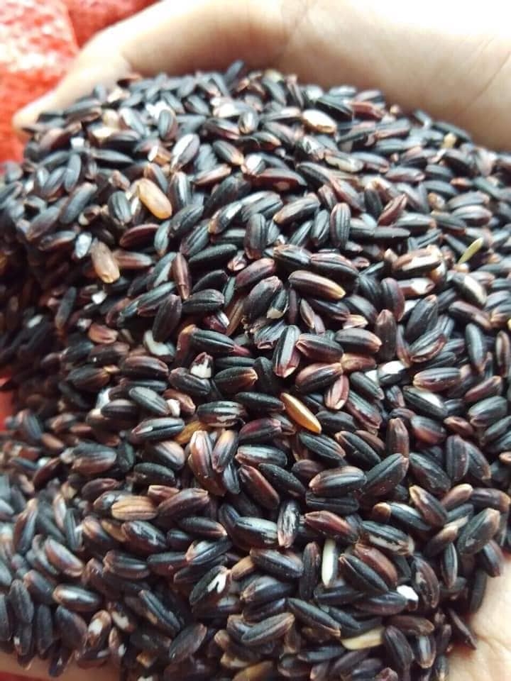 2kg gạo nếp cẩm siêu ngon