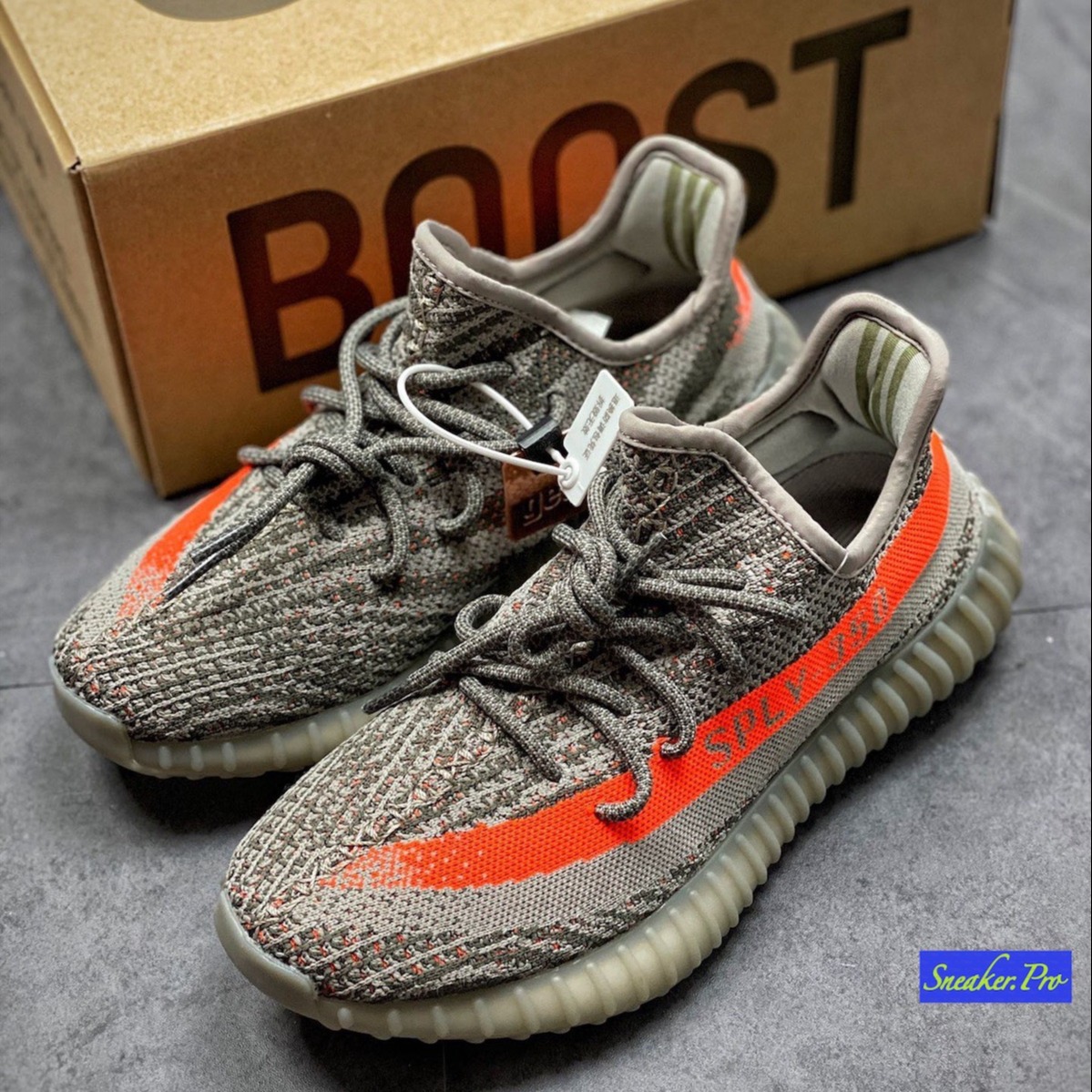 beluga 3.0