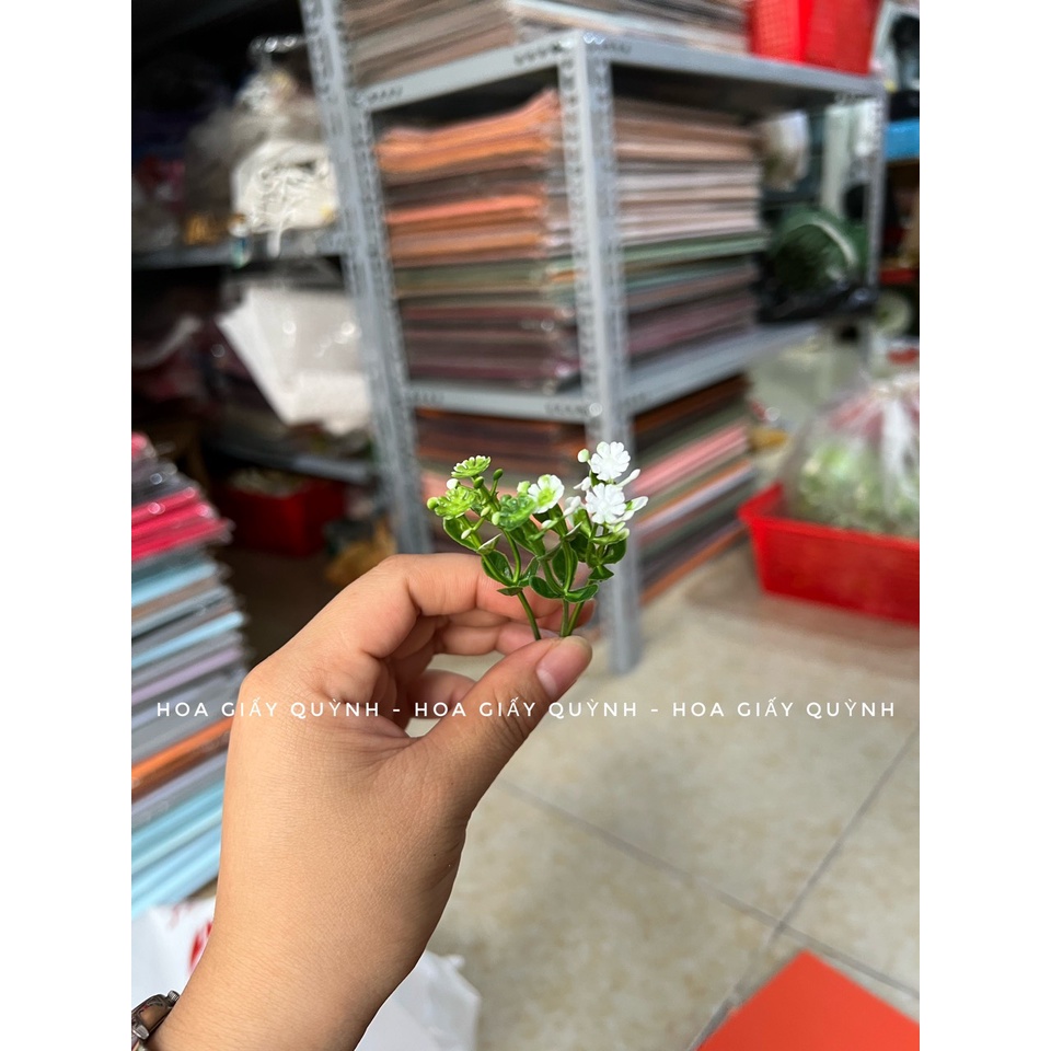 100gr hoa cỏ điểm trang trí - phần 2