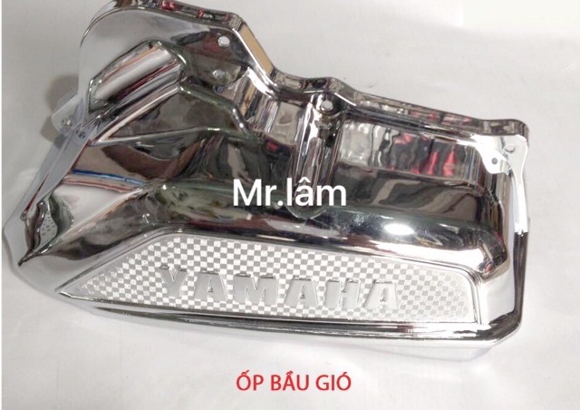ốp Trang trí janus crom