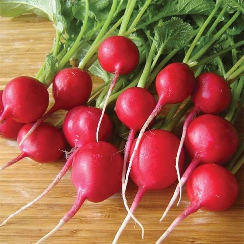 Hạt Giống Củ Cải Đỏ