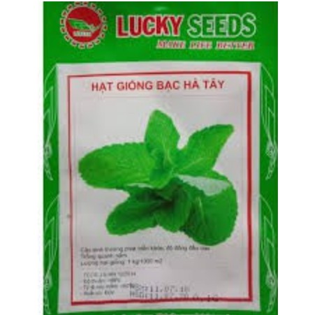 Hạt giống bạc hà tây gói 0,1g