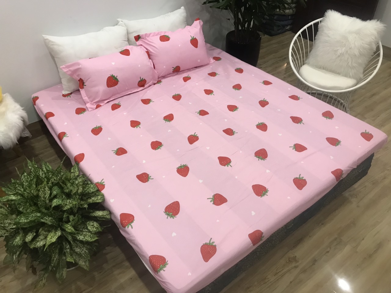 Set Ga Gối 3 Món (Gồm 1 Ga bo chun + 2 Vỏ Gối Nằm) SGG P9