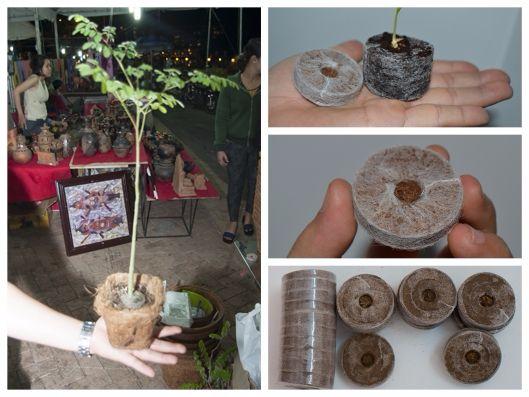 Bộ 50 viên nén ươm hạt - viên nén xơ dừa kích mầm