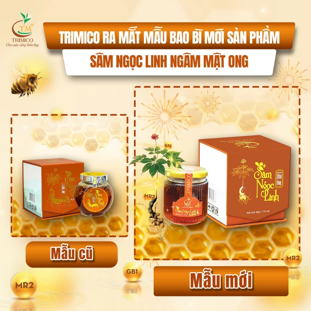 Sâm Ngọc Linh Ngâm Mật Ong Triết Minh  30ml -500ml