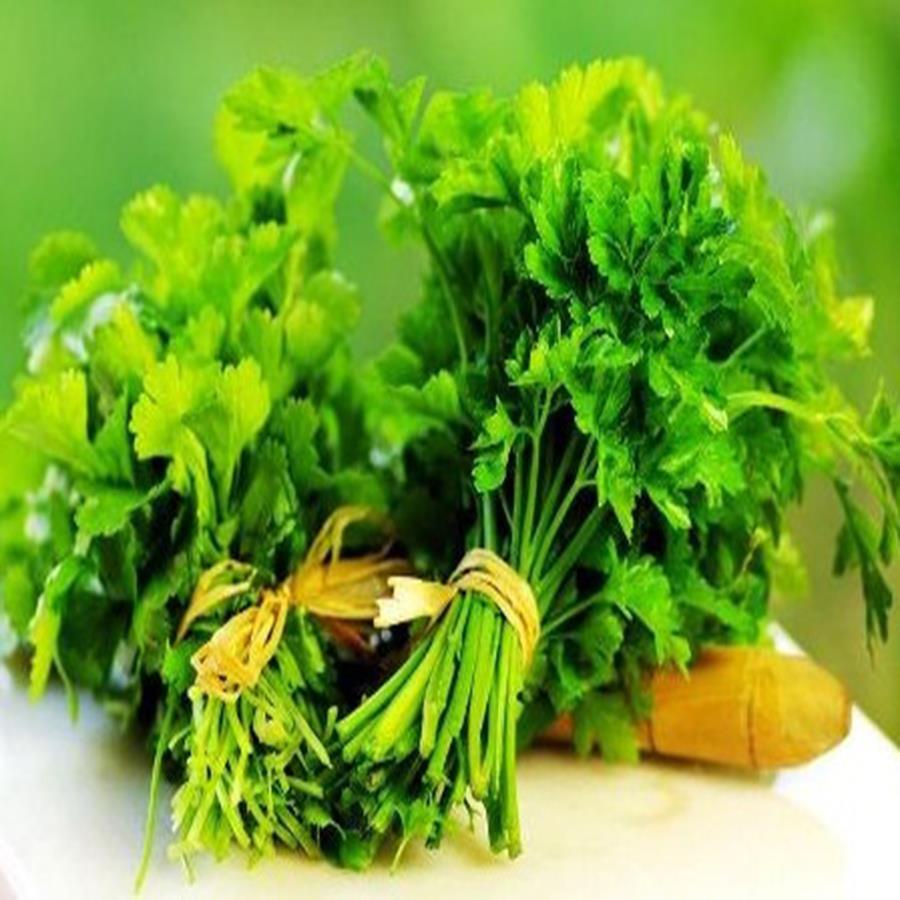 [Mới] - Hạt giống rau mùi  giá rẻ