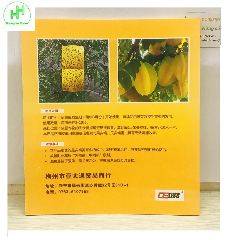 5 Miếng Dính Bẫy Côn Trùng , Bẫy Ruồi Vàng 22x40cm