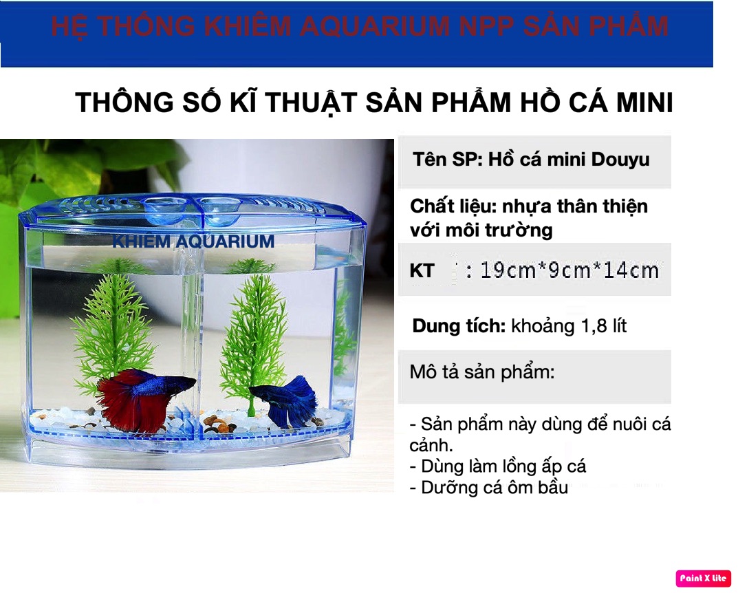 Bể cá betta mini 2 ngăn bằng nhựa - Hồ cá mini cho văn phòng