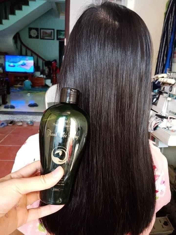 dầu gội đầu thảo dược thanh mộc hương