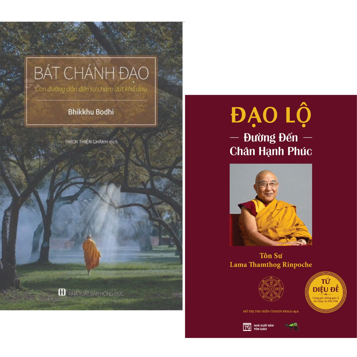 Bát chánh đạo + đạo lộ