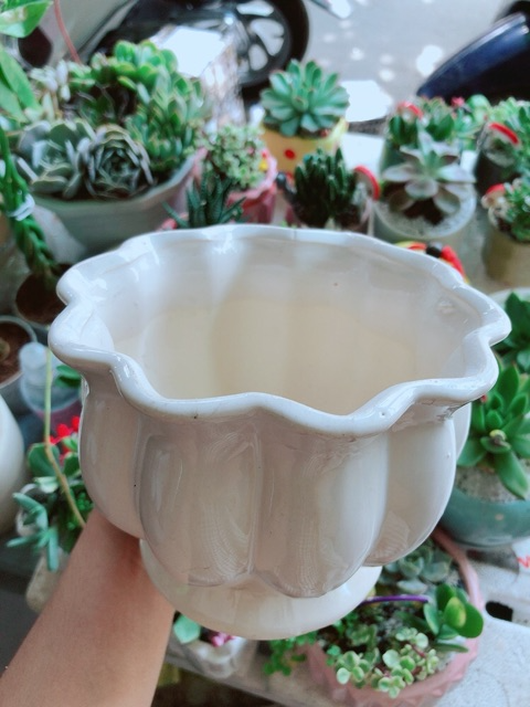 Chậu tráng men