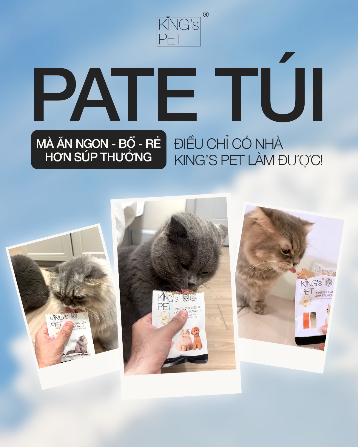 [HOT] Pate King's Pet Gói 70g Cho Mèo Mọi Lứa Tuổi - [Nông Trại Thú Cưng]