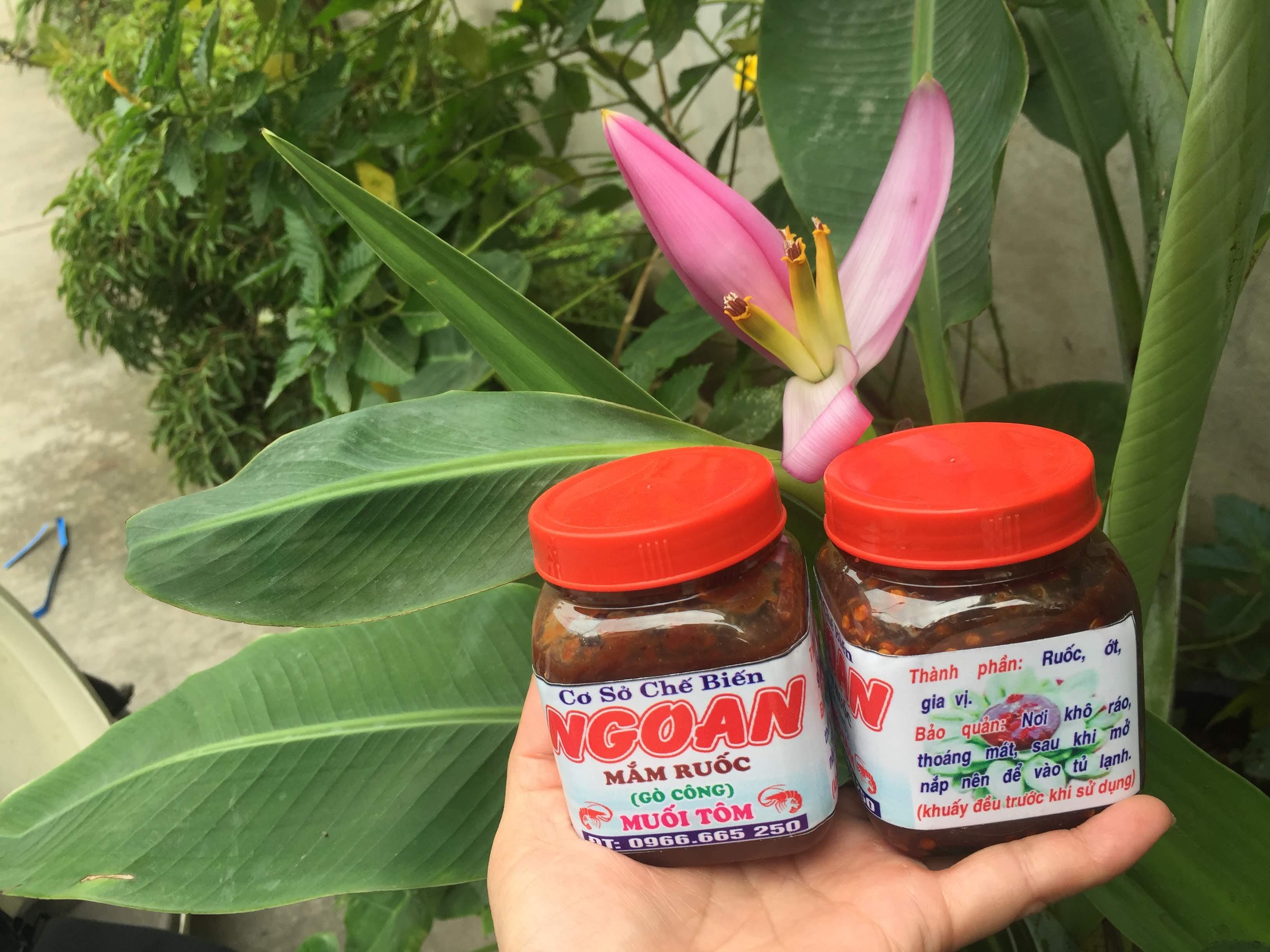 Ngoan