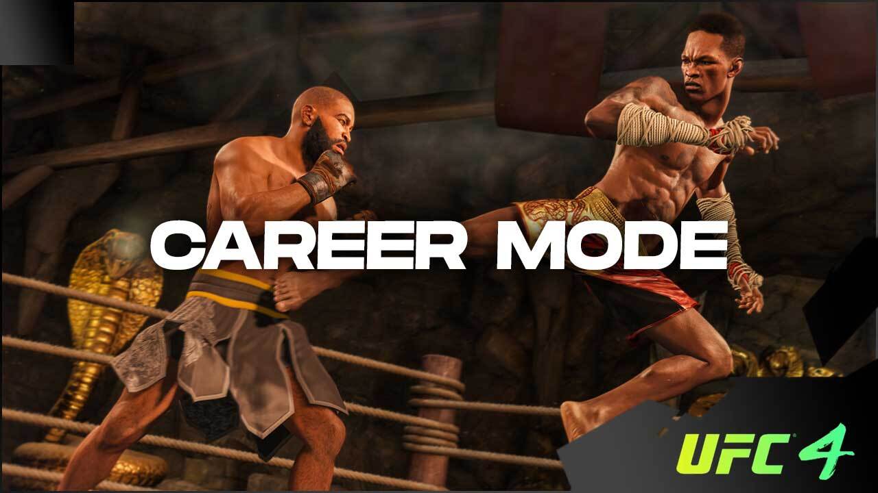 Đĩa game UFC 4 PS4
