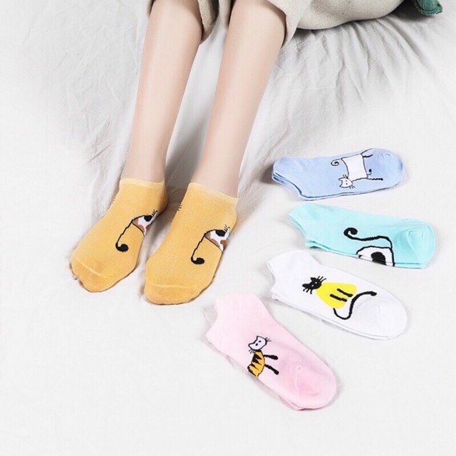 [HCM]TẤT NỮ HÌNH THÚ CUTE