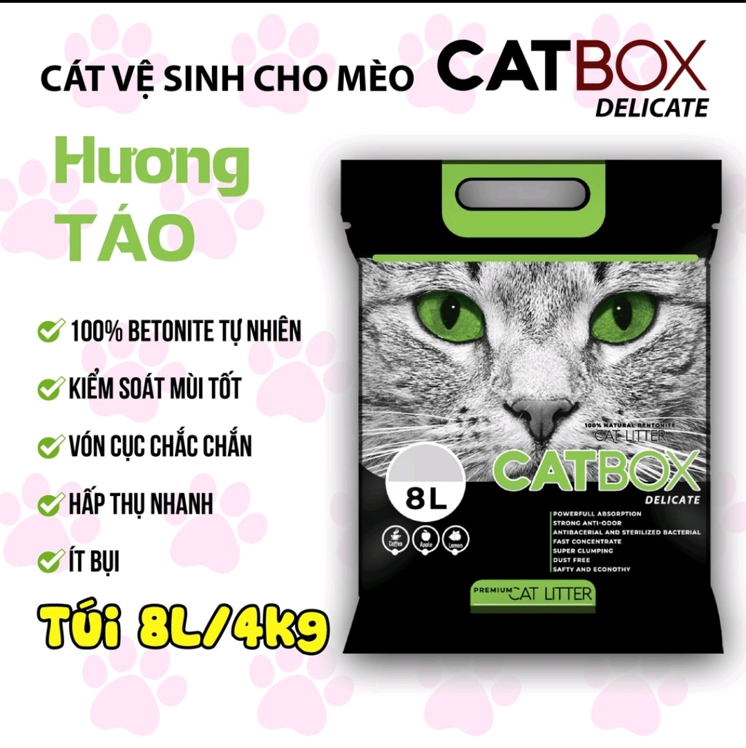 Cát vệ sinh cho mèo 8L 16L CATBOX