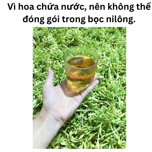Hoa Đu Đủ Đực Tươi ( Hoa Thu Đủ Đực Tươi) - RẤT TỐT CHO SỨC KHỎE