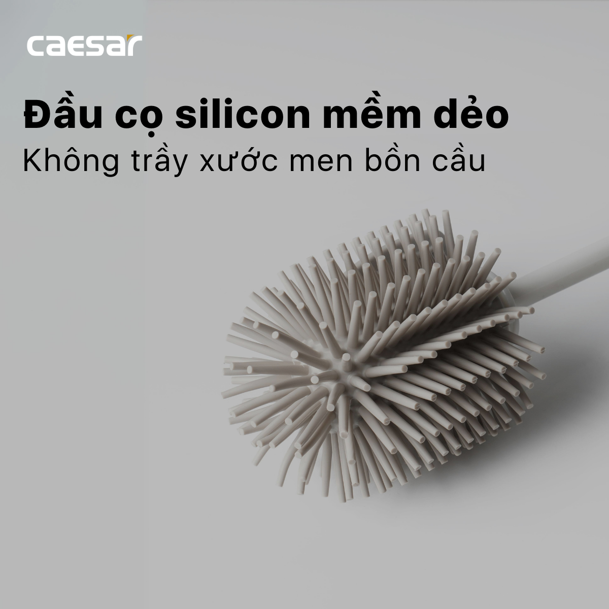 Hộp Cọ Toilet Silicon Caesar