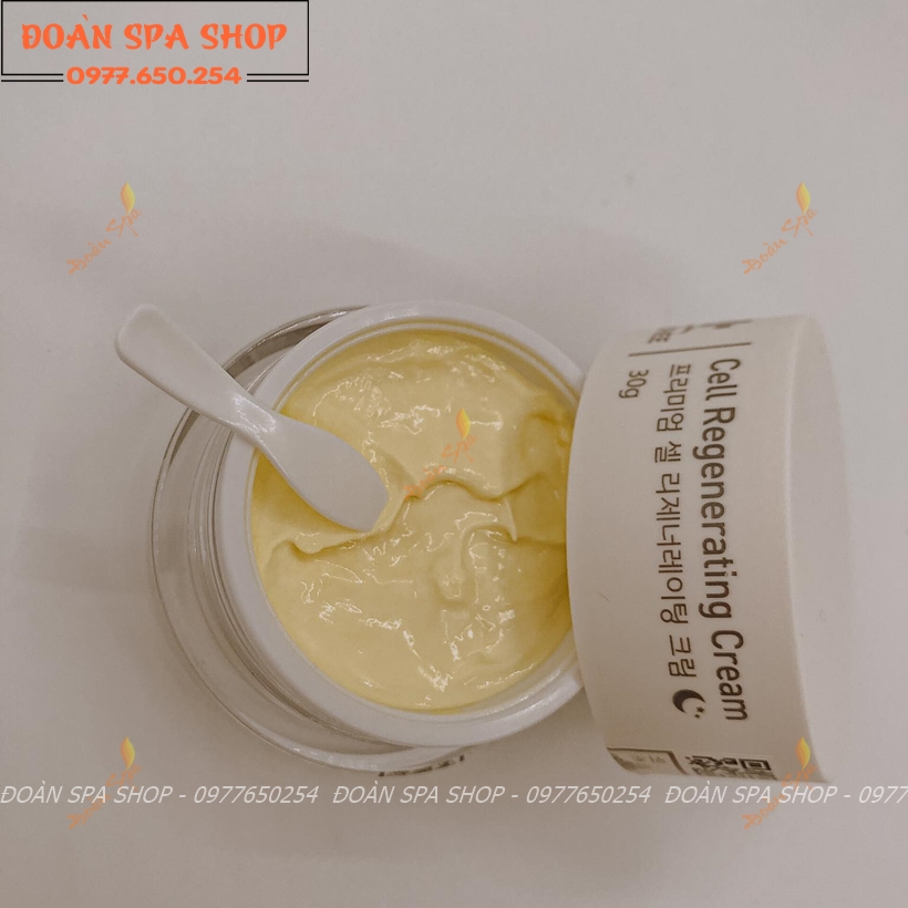 [Mẫu mới SÉT KEM NGÀY & ĐÊM DR SHEE