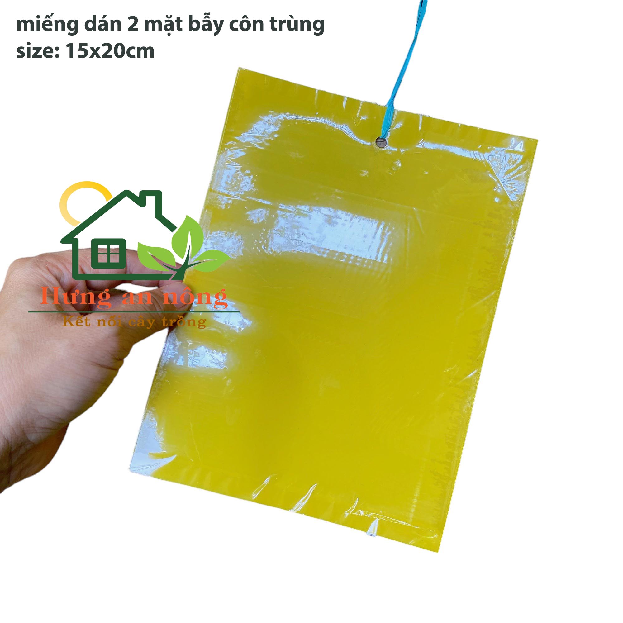 Sét 10 miếng keo dán 2 mặt kèm kẽm treo dùng bẫy ruồi vàng côn trùng có cánh