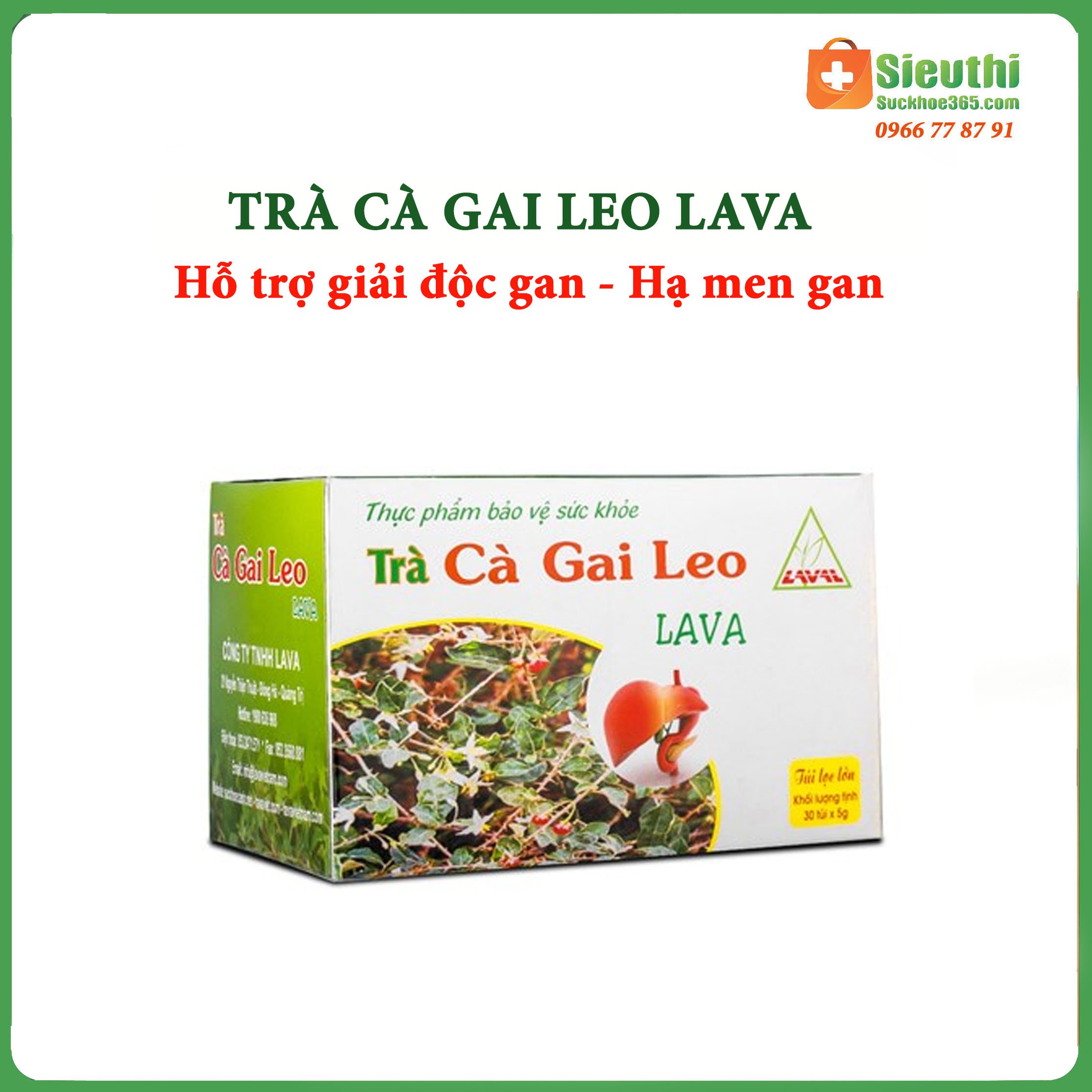 [HCM]Trà Cà Gai Leo Lava Mát Gan Giải Độc Gan Siêu Thị Sức Khoẻ 365