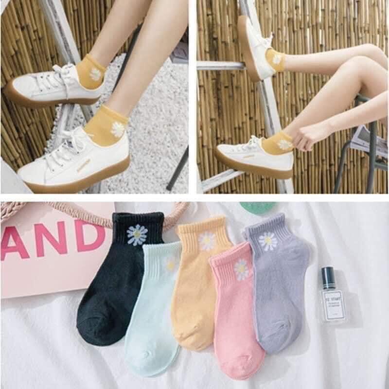 Sét 10 đôi tất hoa cúc họa mi