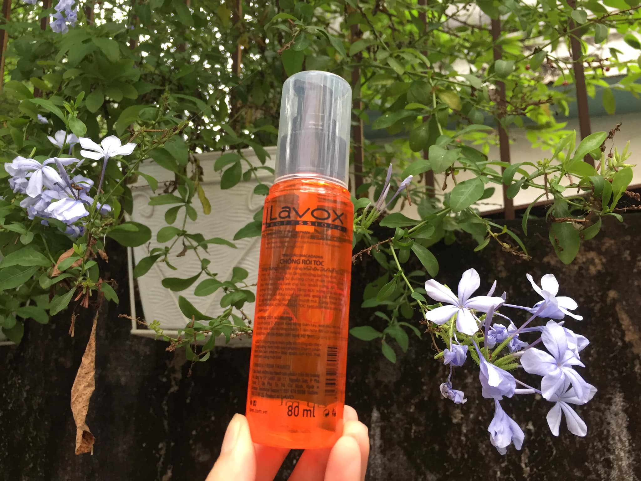 Chai xịt Dầu bóng tóc Lavox 80 ml