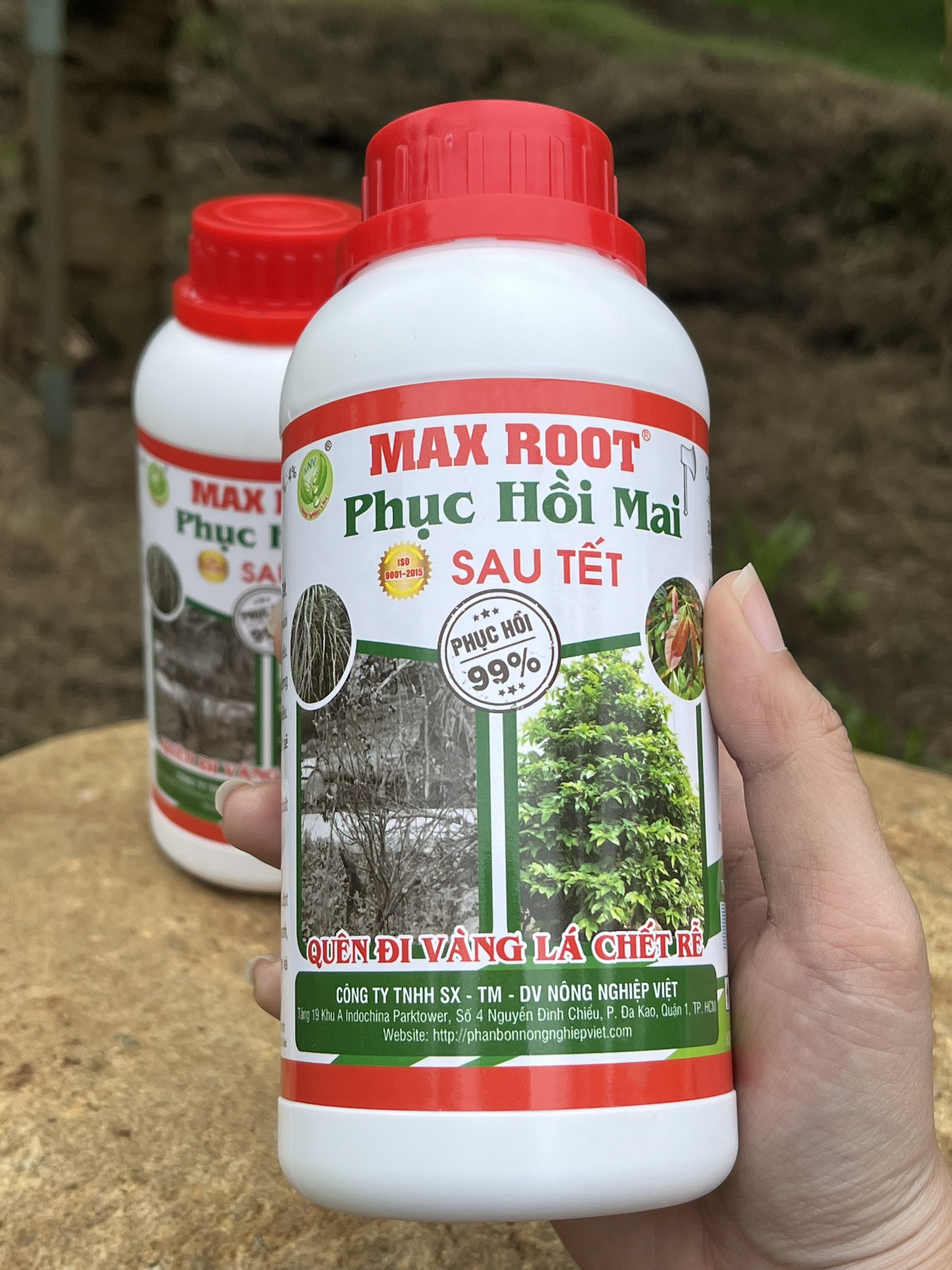 MAX ROOT _ PHỤC HỒI MAI SAU TẾT CHAI 500ML