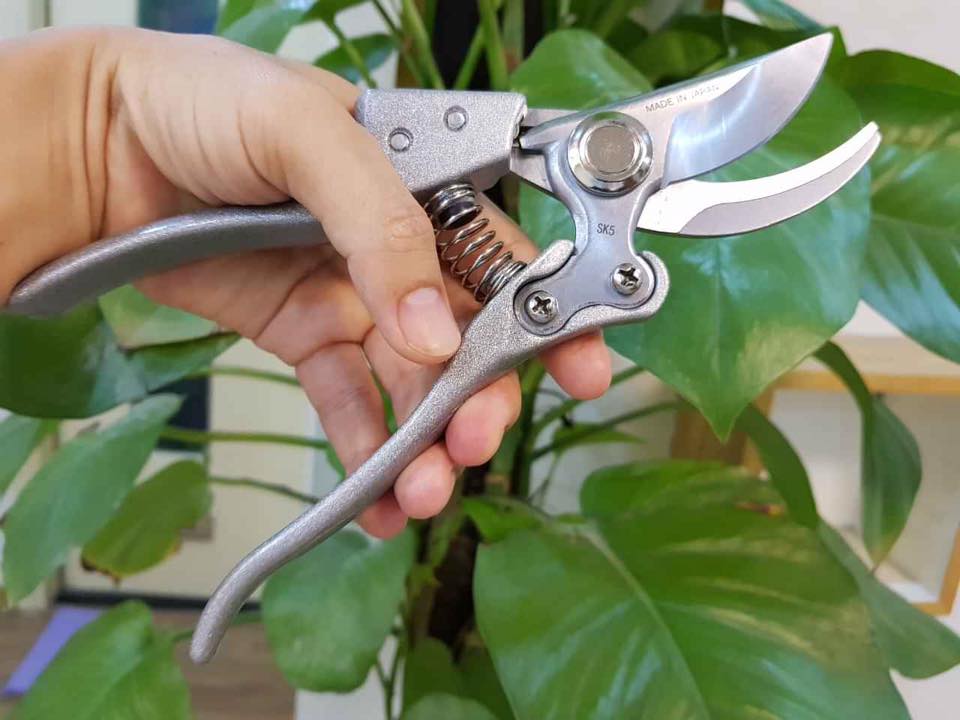 [HCM]Kéo cắt cành Nhật Bản mỏ cong sắc bén K223
