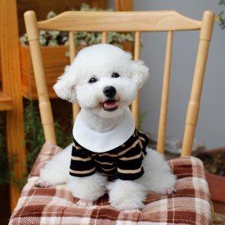 Áo Thun Polo Đen Nâu IAMDOG áo cho chó con, áo cho chó poodle, áo thun cho chó mèo size nhỏ ( 1kg, 5kg, 8kg ) thumbnail
