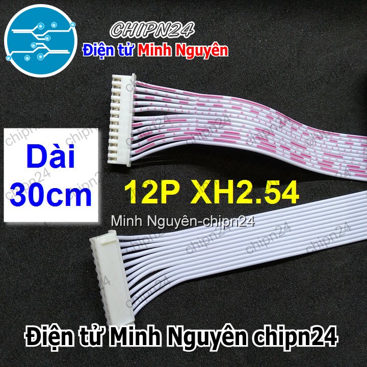 [1 sợi] (P32) Dây bẹ trắng 12P XH2.54mm 2 đầu cắm dài 30cm - HH003844