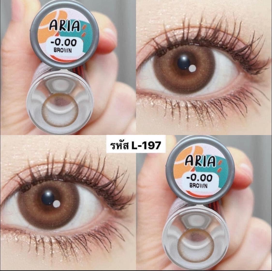 Kính áp tròng [ lens mắt ] BROWN 14.0-14.2mm [ Tú Mây Contact Lens Bình Dương ]