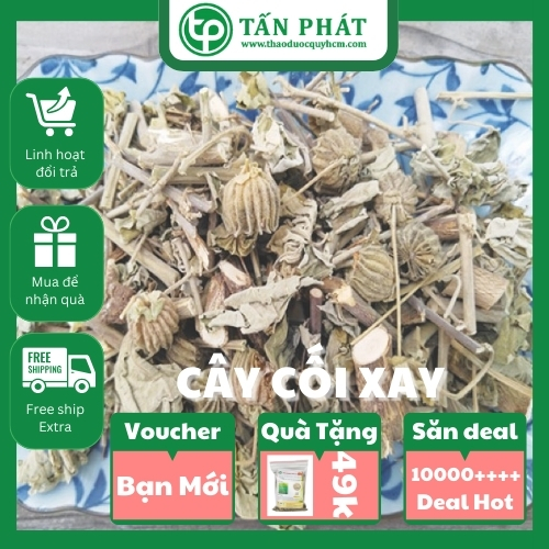 Cối xay sấy khô 500g - Hàng công ty chất lượng cao chuyên dùng để pha trà hỗ trợ thanh nhiệt và làm mát cơ thể - Hàng loại 1 - Thảo Dược Tấn Phát