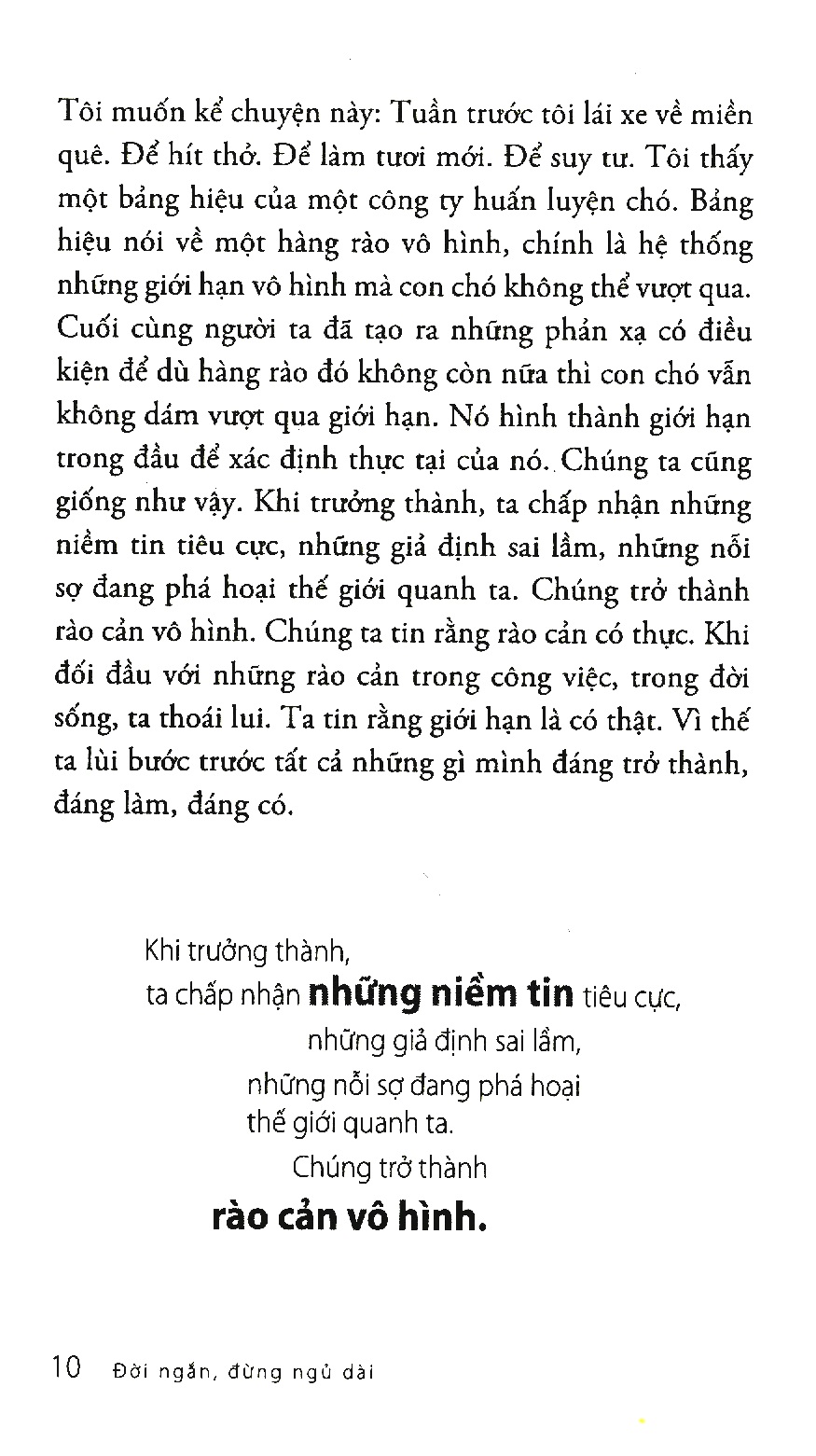 Cá Chép - Đời Ngắn Đừng Ngủ Dài (Tái Bản 2023)
