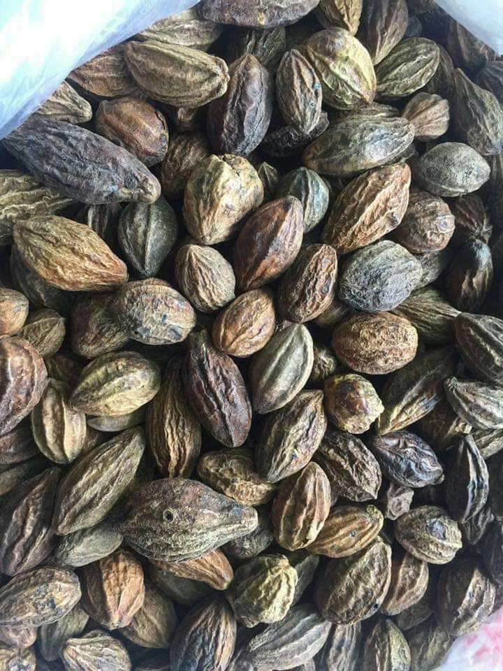 QUẢ KHA TỬ KHÔ (1000G)