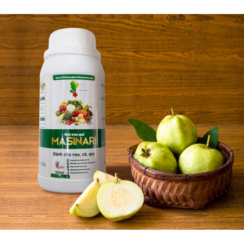 Dịch trùn quế Masinari chai 250 ml