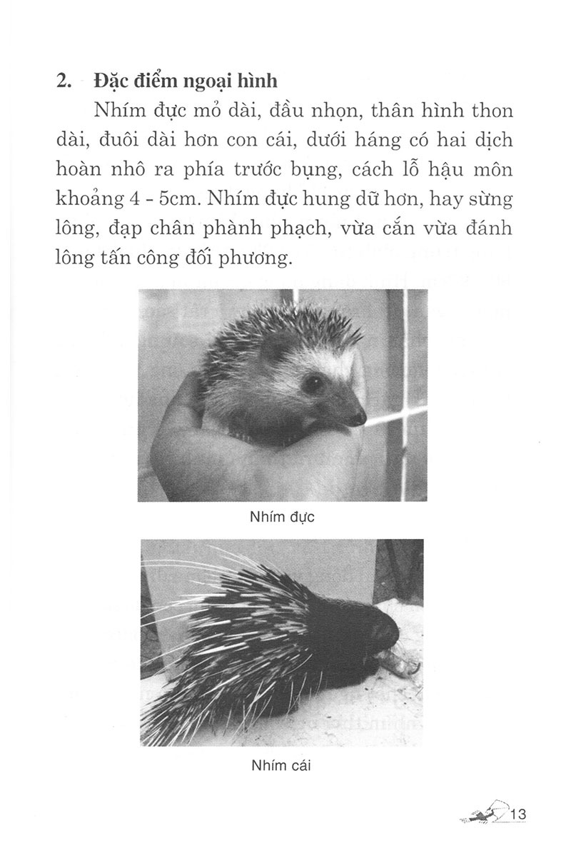 Fahasa - Kỹ Thuật Nuôi Nhím Và Dúi