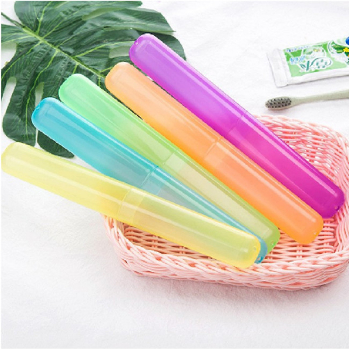Toothbrush Holders Case Travel Camping Cover Tube Plastic Box